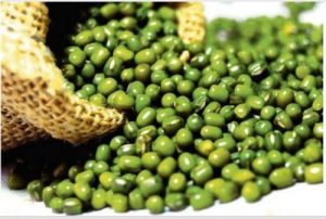 green-gram-mung-dal-mung-beans
