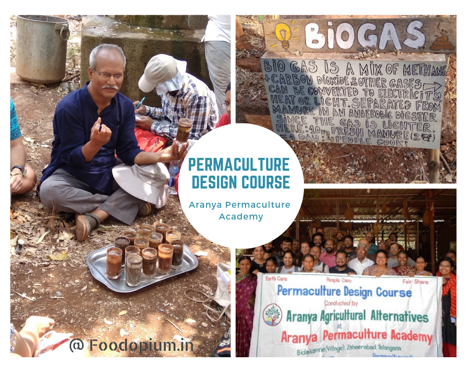 Aranya – Permaculture Design Course (PDC)