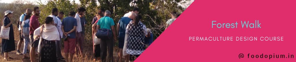 Permaculture Design Course
