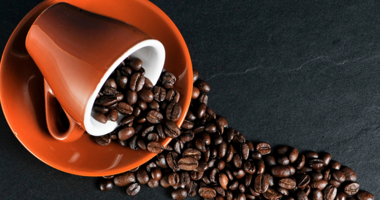 How to Grow Own Coffee Plant Indoors…?