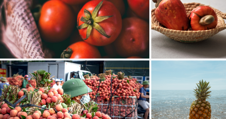Non-Native Vegetables and Fruits of India Part II