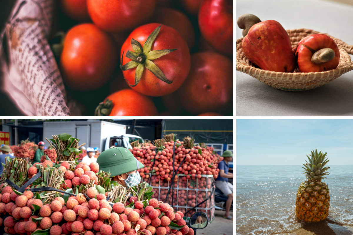 Non-Native Vegetables and Fruits of India Part II