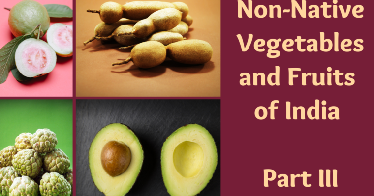 Non-Native Vegetables and Fruits of India Part III